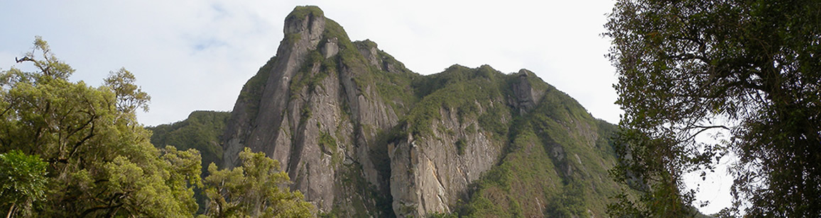 Trekking im Marojejy NP 4N/5T - Madagascar Mosaik Reisen